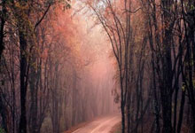 关于赛前速览：全锦赛次回合达拉斯独行侠对阵菲尼克斯太阳，三大看点值得期待的信息